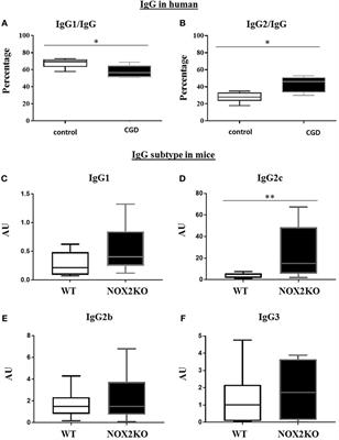 Altered Humoral Immune Responses and IgG Subtypes in NOX2-Deficient Mice and Patients: A Key Role for NOX2 in Antigen-Presenting Cells